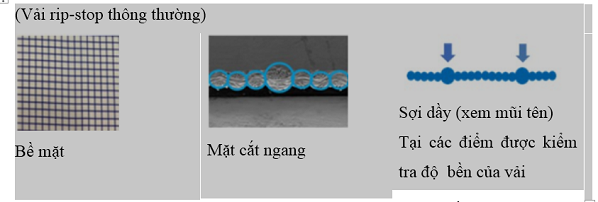 Sicbo Tài Xỉu Sảnh Rồng